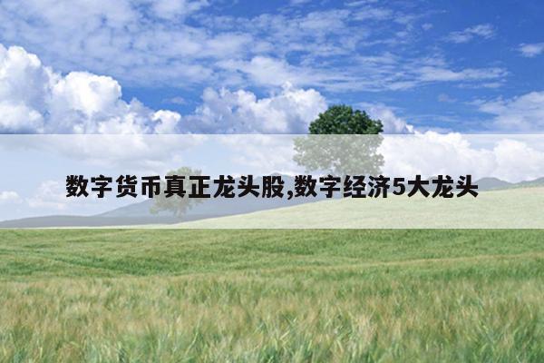 数字货币真正龙头股,数字经济5大龙头
