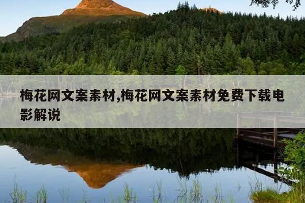 梅花网文案素材,梅花网文案素材免费下载电影解说