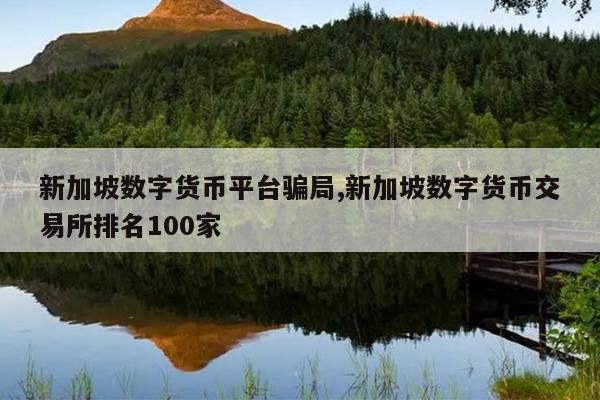 新加坡数字货币平台骗局,新加坡数字货币交易所排名100家