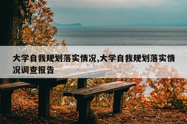 大学自我规划落实情况,大学自我规划落实情况调查报告
