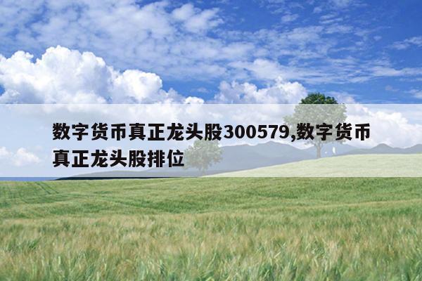 数字货币真正龙头股300579,数字货币真正龙头股排位