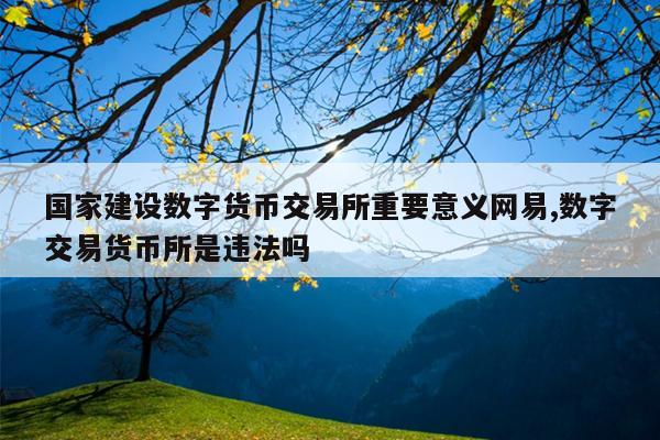 国家建设数字货币交易所重要意义网易,数字交易货币所是违法吗