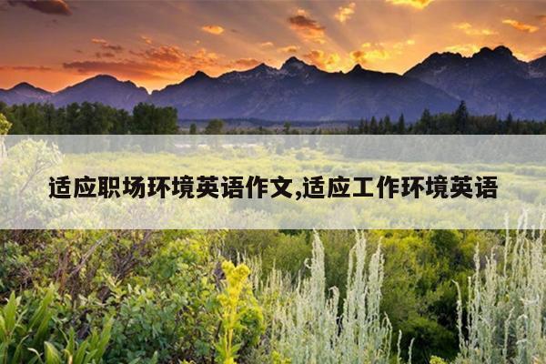 适应职场环境英语作文,适应工作环境英语
