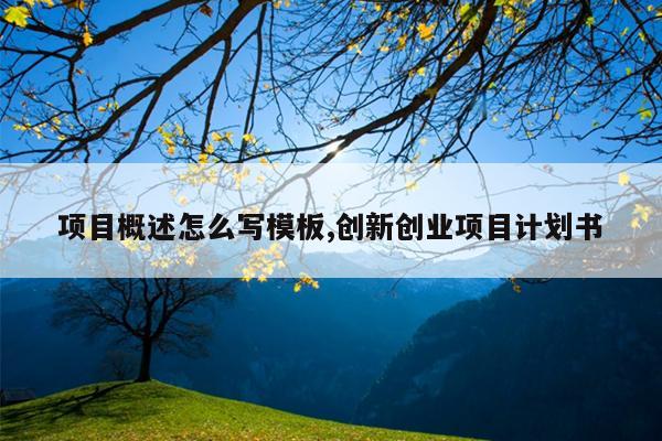 项目概述怎么写模板,创新创业项目计划书