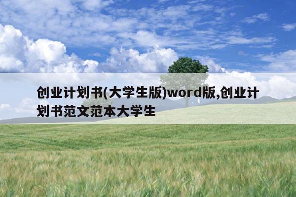 创业计划书(大学生版)word版,创业计划书范文范本大学生