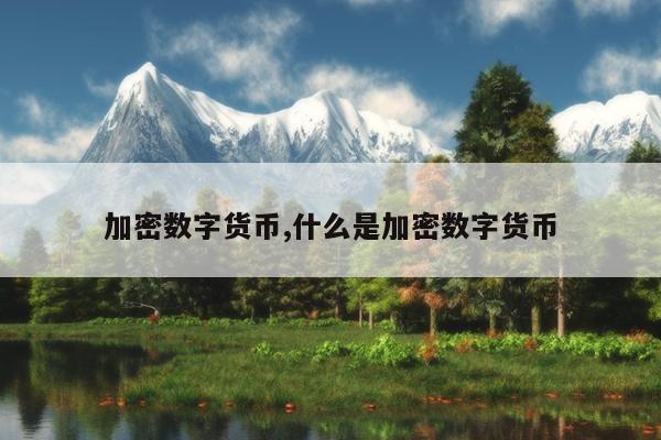 加密数字货币,什么是加密数字货币