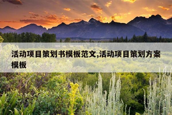 活动项目策划书模板范文,活动项目策划方案模板