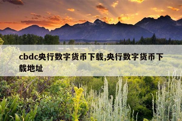 cbdc央行数字货币下载,央行数字货币下载地址