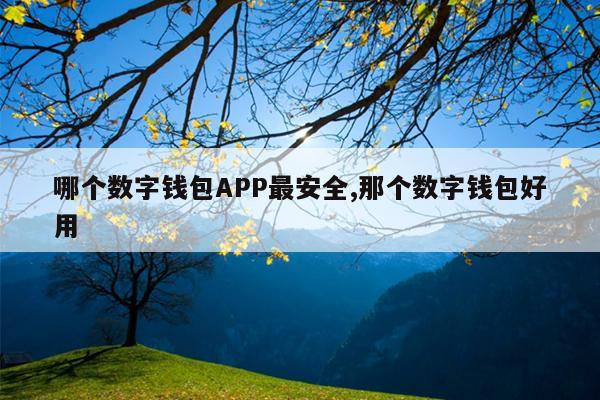 哪个数字钱包APP最安全,那个数字钱包好用