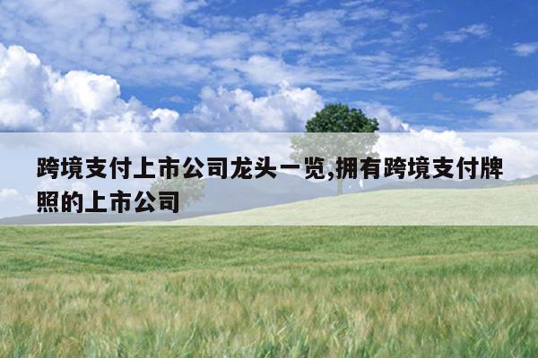 跨境支付上市公司龙头一览,拥有跨境支付牌照的上市公司