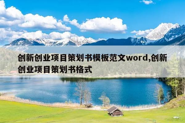创新创业项目策划书模板范文word,创新创业项目策划书格式