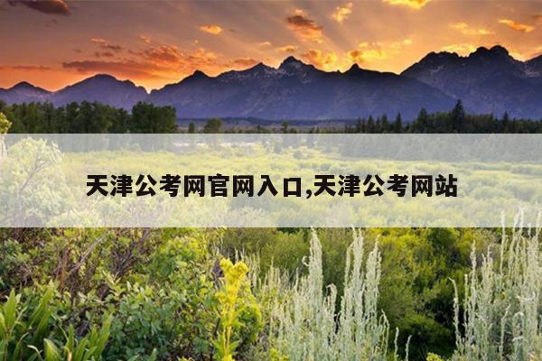 天津公考网官网入口,天津公考网站