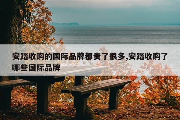 安踏收购的国际品牌都贵了很多,安踏收购了哪些国际品牌
