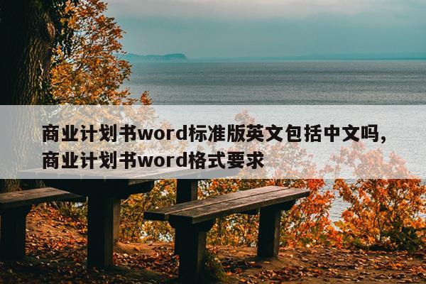 商业计划书word标准版英文包括中文吗,商业计划书word格式要求