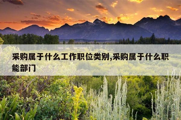 采购属于什么工作职位类别,采购属于什么职能部门