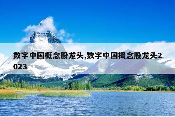 数字中国概念股龙头,数字中国概念股龙头2023