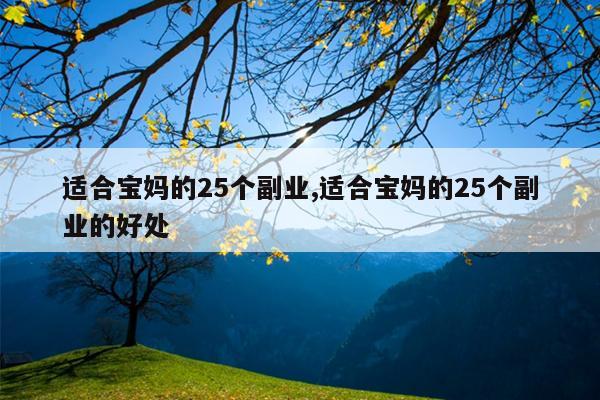 适合宝妈的25个副业,适合宝妈的25个副业的好处