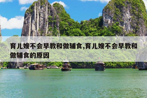 育儿嫂不会早教和做辅食,育儿嫂不会早教和做辅食的原因