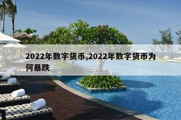2022年数字货币,2022年数字货币为何暴跌