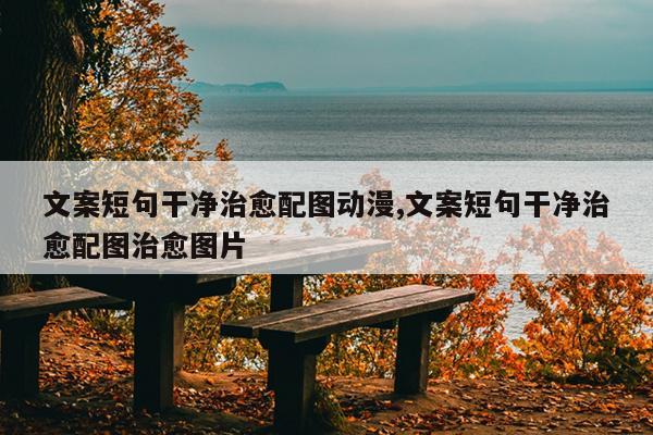 文案短句干净治愈配图动漫,文案短句干净治愈配图治愈图片