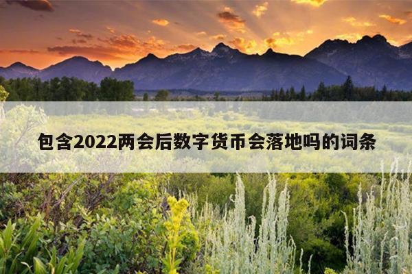 包含2022两会后数字货币会落地吗的词条