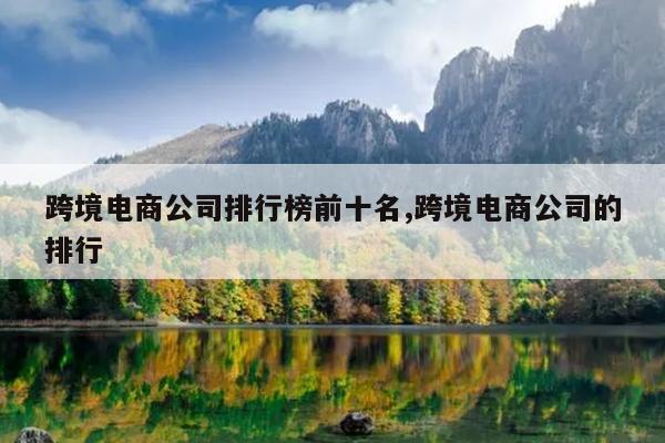 跨境电商公司排行榜前十名,跨境电商公司的排行