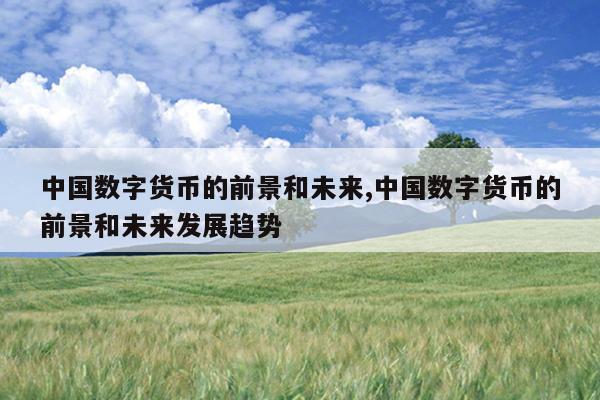 中国数字货币的前景和未来,中国数字货币的前景和未来发展趋势
