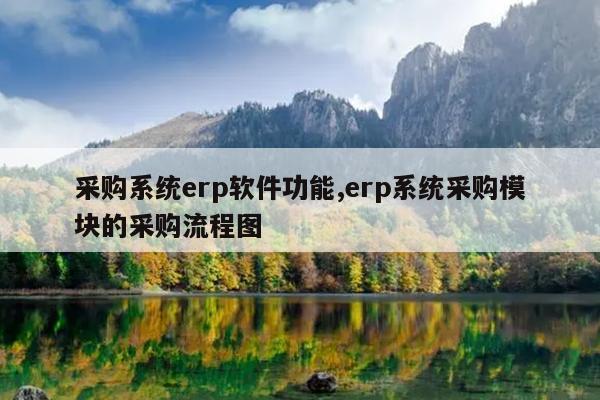 采购系统erp软件功能,erp系统采购模块的采购流程图