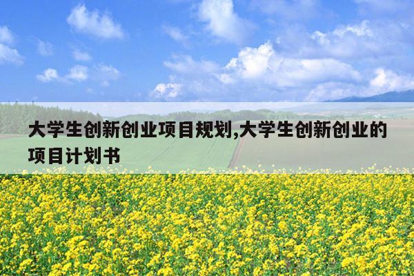 大学生创新创业项目规划,大学生创新创业的项目计划书