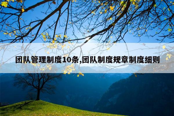团队管理制度10条,团队制度规章制度细则