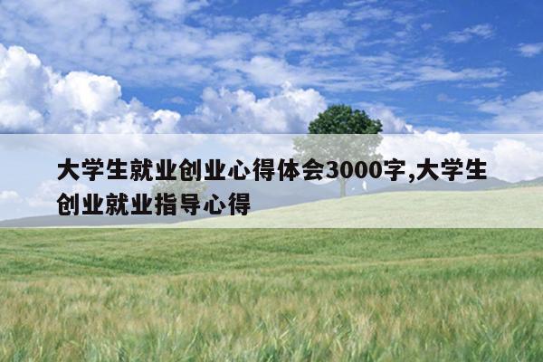 大学生就业创业心得体会3000字,大学生创业就业指导心得