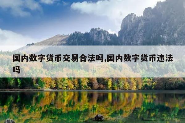 国内数字货币交易合法吗,国内数字货币违法吗