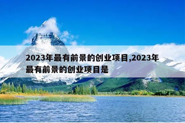2023年最有前景的创业项目,2023年最有前景的创业项目是