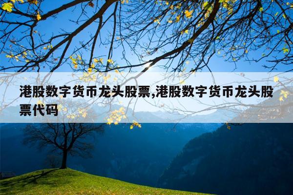 港股数字货币龙头股票,港股数字货币龙头股票代码