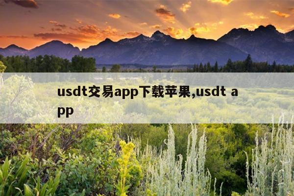 usdt交易app下载苹果,usdt app