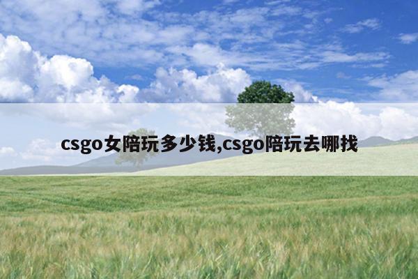 csgo女陪玩多少钱,csgo陪玩去哪找