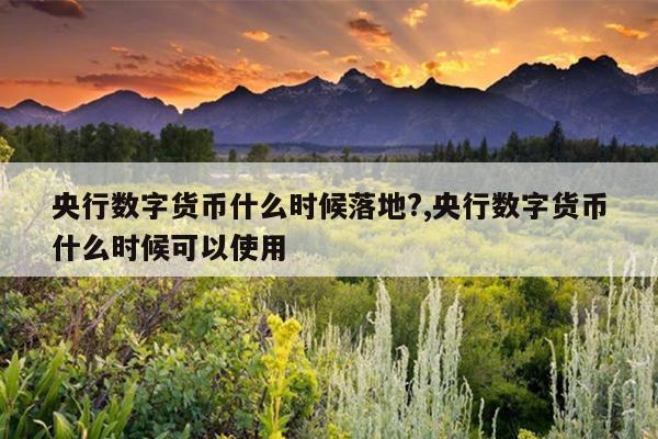 央行数字货币什么时候落地?,央行数字货币什么时候可以使用