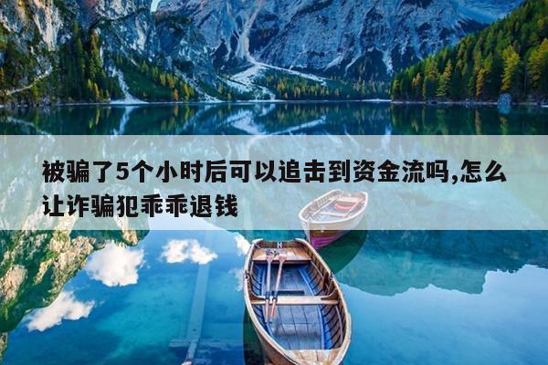 被骗了5个小时后可以追击到资金流吗,怎么让诈骗犯乖乖退钱
