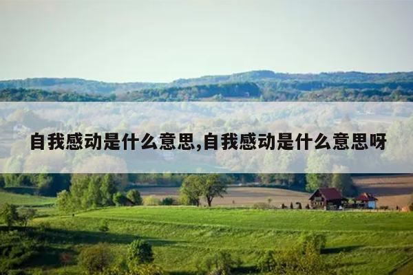 自我感动是什么意思,自我感动是什么意思呀