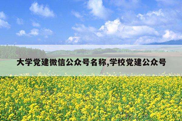 大学党建微信公众号名称,学校党建公众号