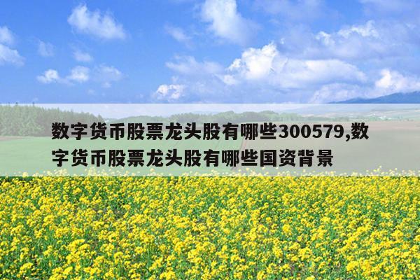 数字货币股票龙头股有哪些300579,数字货币股票龙头股有哪些国资背景