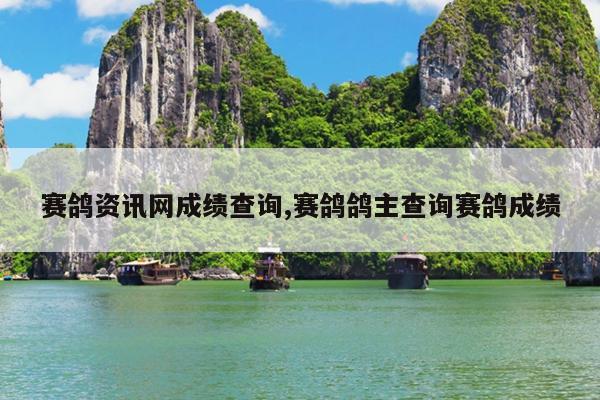 赛鸽资讯网成绩查询,赛鸽鸽主查询赛鸽成绩