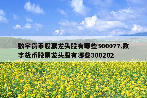 数字货币股票龙头股有哪些300077,数字货币股票龙头股有哪些300202