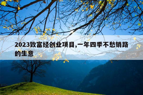 2023致富经创业项目,一年四季不愁销路的生意