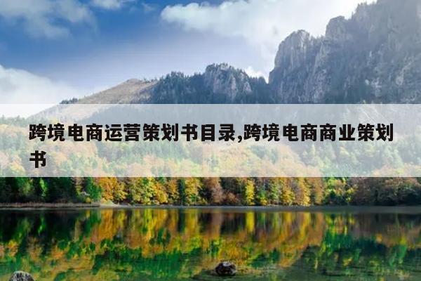 跨境电商运营策划书目录,跨境电商商业策划书