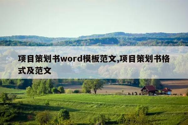 项目策划书word模板范文,项目策划书格式及范文
