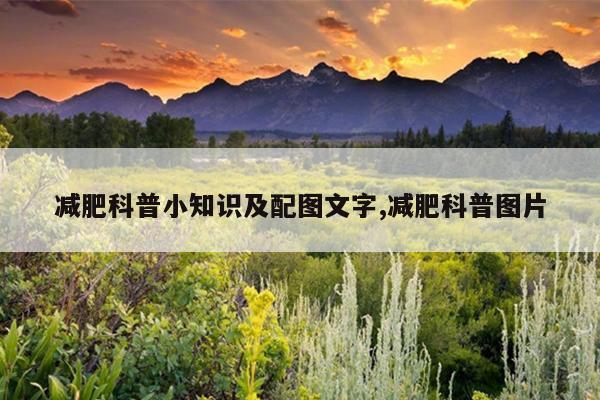 减肥科普小知识及配图文字,减肥科普图片