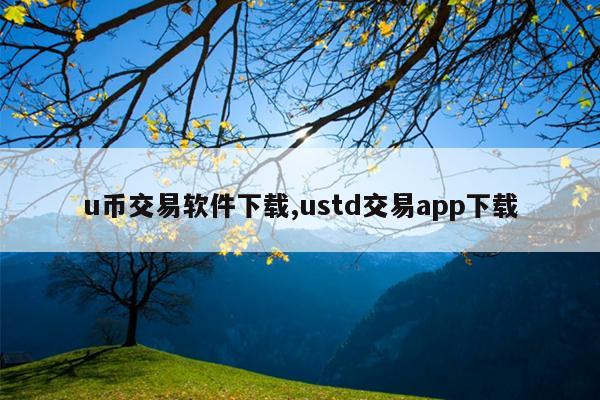 u币交易软件下载,ustd交易app下载