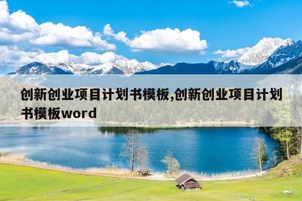 创新创业项目计划书模板,创新创业项目计划书模板word