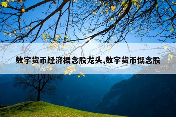 数字货币经济概念股龙头,数字货币慨念股